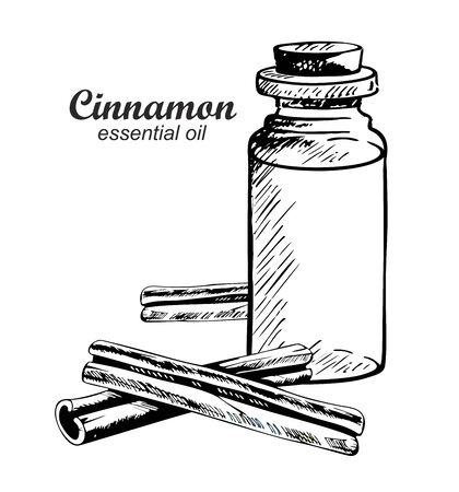 Cinnamon essential oil in glass bottle. Vector illustration of aromatic oil and cinnamon sticks in sketch style.のイラスト素材