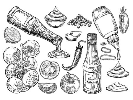 Ketchup sketch. The ingredients from which ketchup is prepared. Ketchup sauce bottle with tomatoes. Traditional tomato ketchup bottle isolated on white background. Fast Food ingredient sketch setのイラスト素材