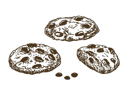 Chocolate Chip Cookies. Sketch ink graphic cookies set illustration, black on white line art. Hand Drawn sketch of american cookies with chocolate pieces. Oatmeal sweet dessert. Vintage cookies.のイラスト素材