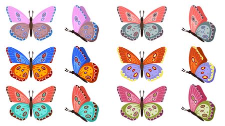 Different butterflies collection. Vector illustration. Colored butterflies isolated on white background. Pretty vector butterfly set with spring palette for child.のイラスト素材