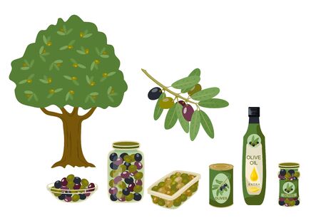 Olive products collection. Olive oil, branches, bottles illustration. Olive oil capacity bottle and canned olive. Vector illustration.のイラスト素材