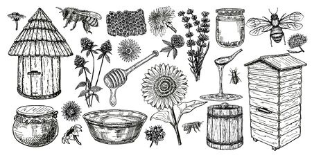 Beekeeping sketch icon set. Honey vintage set with bee beehive, glass jar and spoon, bees, melliferous flowers. Hand drawing apiary isolated objects. Vector illustration.のイラスト素材