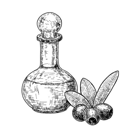 Olives fruit and olive oil bottle sketches set. Hand drawn vector illustration isolated on white backgroundのイラスト素材