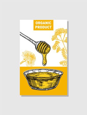 Vector sketch honey poster. Hand drawn vintage style Illustrations. Card design template. Retro background.のイラスト素材