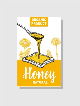 Vector sketch honey poster. Hand drawn vintage style Illustrations. Card design template. Retro background.のイラスト素材