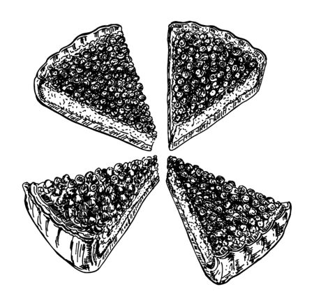 Four slices of berry pie. A slice of berry pie from different angles sketch.のイラスト素材