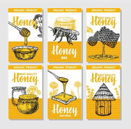 Vector hand drawn honey poster set. Sketch vintage style. Collection of 6 cute card templates with hand drawn illustrations. Cards design template. Retro backgroundのイラスト素材