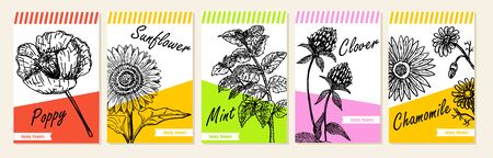 Labels, cards and stickers for wildflower honey products. Vector sketch collection. Banners for beekeeping and apiculture with sketch hand drawn illustrations.のイラスト素材