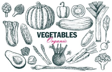 Set of various hand drawn vegetables. Sketches of different food. Organic healthy food. Sketch icon vegetables. Isolated on whiteのイラスト素材