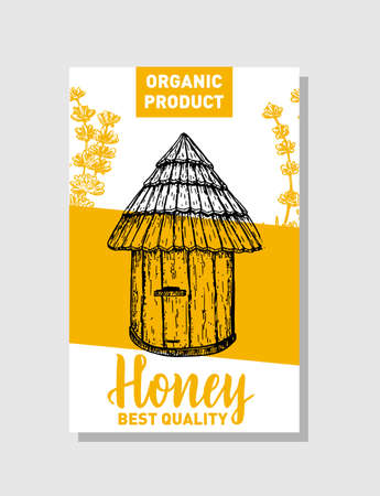 Vector sketch honey poster. Hand drawn vintage style Illustrations. Bee hive and honey plants. Card design template. Retro sketch style.のイラスト素材