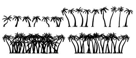 Vector set of tropical palm tree silhouettes, isolated on white background. Vector sketch illustration. Hand drawn tropical plants.のイラスト素材