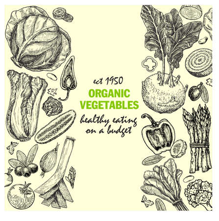 Vector card design with ink hand drawn vegetables and spice sketch. Vintage healthy food illustration.のイラスト素材