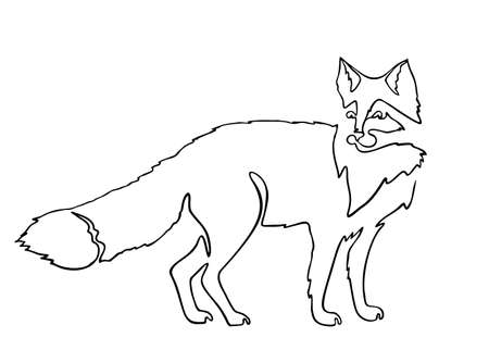 Continuous one line drawing Fox. Continuous black outline drawing on white background.  Vector illustrationのイラスト素材