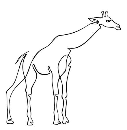 Endless line art illustration of giraffe. Continuous black outline drawing on white background. Giraffe walking symbol.のイラスト素材