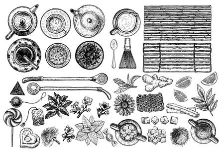 Tea and Herbal Tea shop set vector illustration. Vector design with tea ingredients. Hand drawn sketch collection. Engraved style.のイラスト素材