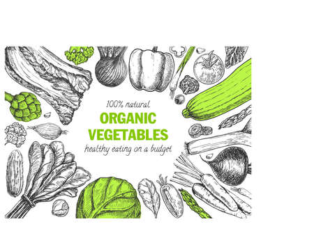 Organic vegetables food card design. Farmers market menu design. Organic food poster. Vintage hand drawn sketch vector illustration.のイラスト素材
