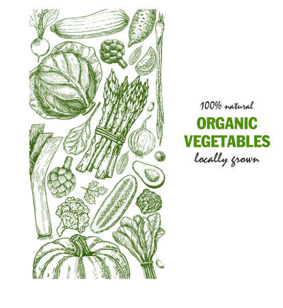 Organic vegetables food card design. Farmers market menu design. Organic food poster. Vintage hand drawn sketch vector illustration.のイラスト素材