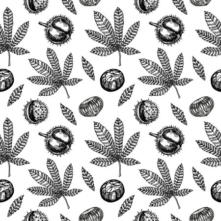 Chestnuts seamless pattern. Chestnut leaves and fruits sketch seamless backgroundのイラスト素材