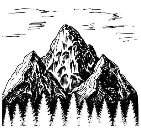 Mountains with contours of the Fir forest, hand drawn vector illustration. Sketch.のイラスト素材