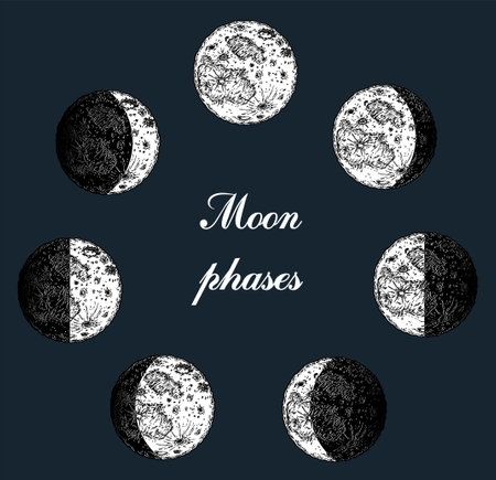 Moon phases image on black background. Hand drawn vector illustration of cycle from new to full moon. Different stages of moonlight activity in vintage engraving styleのイラスト素材