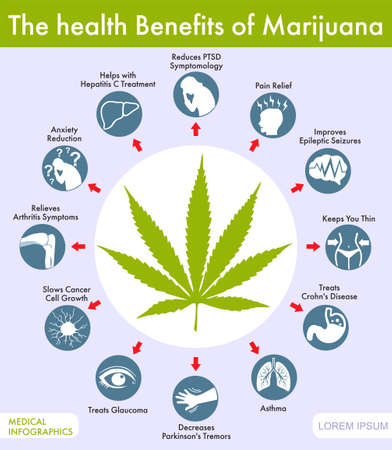 The health benefits of marijuana. Infographic. Medical marijuana product. Marijuana Legalization. Cannabis organic hemp.のイラスト素材
