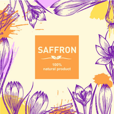 Background with saffron flower and saffron stamens. Spices sketch. Spring flowers. Cosmetic, perfumery and medical plant. Vector hand drawn illustration.のイラスト素材
