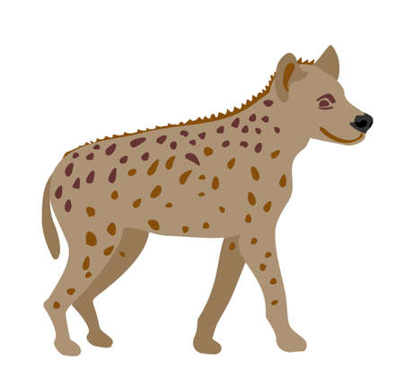 African spotted hyena on white background illustration. Wild animal. Engraved hand drawn old monochrome Vintage sketch.のイラスト素材