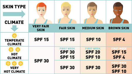Protecting your skin from the summer sun. Infographics. Women with different skin types. Sunscreen, Sun protection, summer skin moisturizer choosing. Women face with different color of skinのイラスト素材