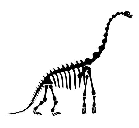 Diplodocus skeleton. Ancient prehistoric animal dinosaur. Big animal of the prehistoric Mesozoic era. Illustration, drawing, engraving, ink, line art. Vector illustration in cartoon style.のイラスト素材
