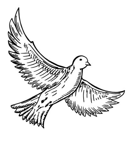 Bird flying hand drawn. Ink black and white drawing. Sketch Vectorのイラスト素材
