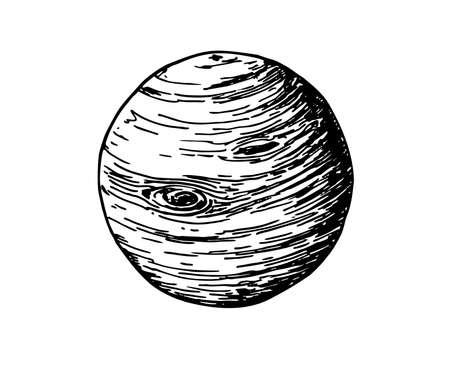 Jupiter planet icon. Sketch illustration of Jupiter planet vector icon. Jupiter Planet. Vector hand drawn Illustration isolated on white background.のイラスト素材