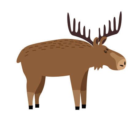 Cute moose flat illustration. Deer, reindeer with big antlers. Woodland animal character. Forest fauna. Zoo mammal. Elk clipart. Postcard, kids book design elementのイラスト素材