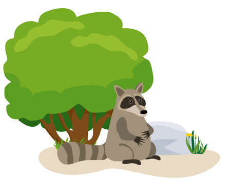 Cute raccoon next to the tree. North American raccoon, native mammal. flat vector illustration. Isolated on white background. Forest inhabitant. Wild animal.のイラスト素材