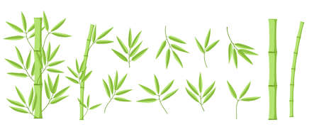 Bamboo green decoration elements in realistic style. Vertical borders from stems, isolated leaves and sticks and fresh natural plant. Detailed bamboo shoots setのイラスト素材