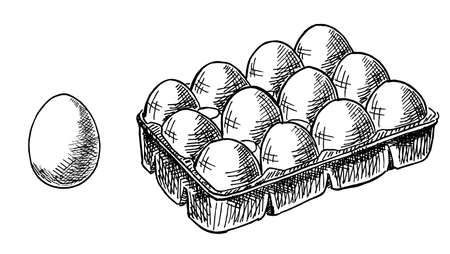 The egg box. Eggs fresh set healthy food. Vector sketch illustrationのイラスト素材