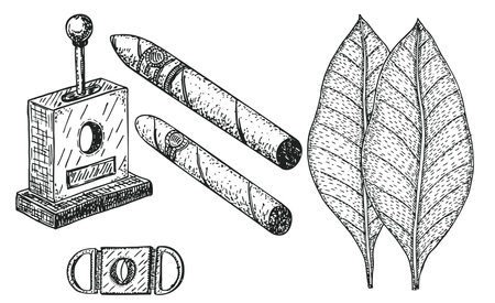 Vector illustration with hand rolled cigars in sketch style. Cigars set engraving vector illustration. Tobacco leaves for cigars. Classical smoking set. Best Cuban qualityのイラスト素材