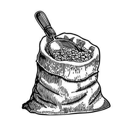 Roasted coffee beans falling in a burlap sack. Sackcloth bag with coffee beans, isolated on white background. Coffee export. Graphic style hand-drawn vector illustration.のイラスト素材