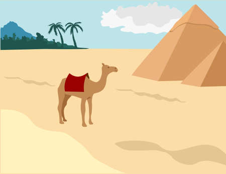A camel by the Pyramids of Egypt in the desert of Giza. An iconic image of ancient times and places. The Sahara desert. Egyptian great pyramids in the desert on a background.のイラスト素材