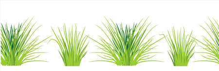 Grass bushes seamless pattern. Grass and Bushes outdoor landscape elements. Isolated element for design, landscape nature illustration.のイラスト素材