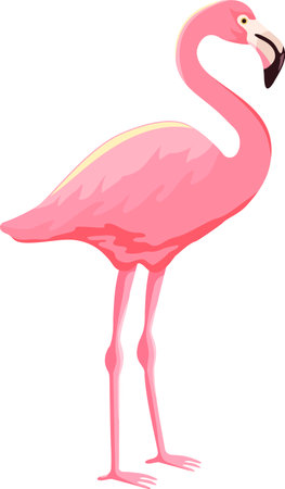 Pink flamingo vector illustration isolated on white background. Flamingo is a large waterfowlのイラスト素材