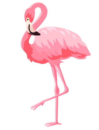 Pink flamingo vector illustration isolated on white background. Flamingo is a large waterfowlのイラスト素材