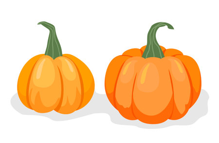 Vector set of orange pumpkins isolated on a white background. Autumn halloween pumpkin, vegetable graphic icon or print.のイラスト素材