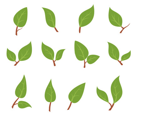 Leaves icon vector set isolated on white background. Fresh spring foliage. Environment and ecology backdrop. Vector Illustrationのイラスト素材