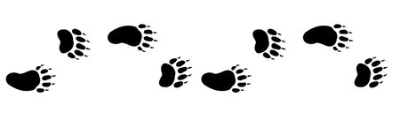 Bear footprint. Paw vector foot trail print of bear. For t-shirts, backgrounds, patterns, design, greeting cards, child prints. Vector illustration.のイラスト素材