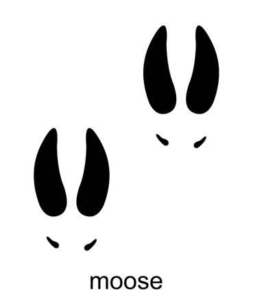 Moose Footprint. Moose track. Track of forest animal. Ungulate animal footprints. Mammal animal. Black Silhouette Design. Vector illustration isolated on white backgroundのイラスト素材