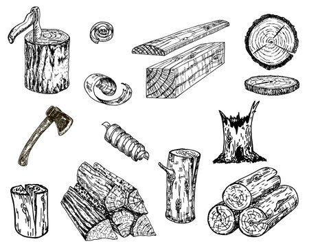 Wood logs, trunk vector sketch illustration. Hand drawn wooden materials. Firewood sketch set. Annual rings on a tree cut. Wood stumps and axe.のイラスト素材