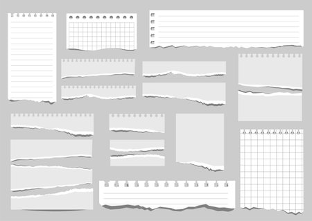Pieces of paper of different types. Torn notebook papers set. Blank with a grid notebook ripped out papers. White paper sheets of square with cell horizontal line and perforation. Vectorのイラスト素材