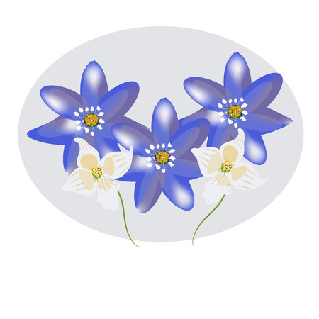 Beautiful pring flowers, yellow blue and white.のイラスト素材
