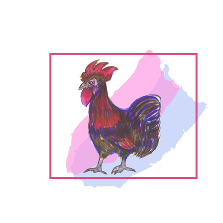 showing rooster. new year 2017のイラスト素材