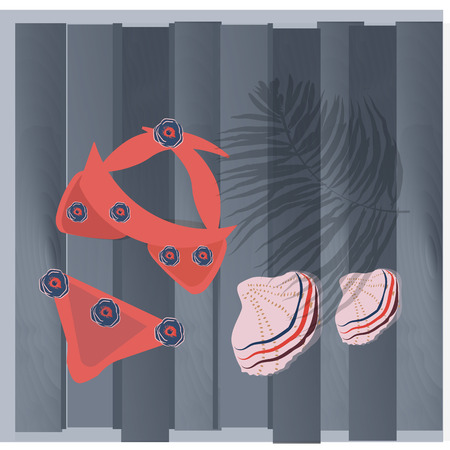 Swim suit and seashells on wooden background. Vector mockupのイラスト素材